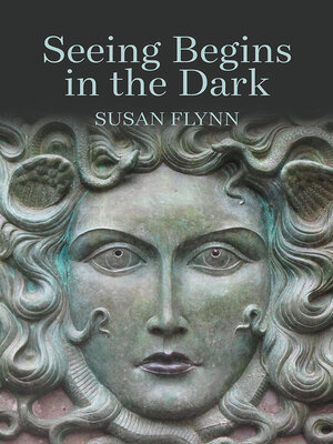 cover image of Seeing Begins in the Dark